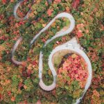紅葉が見ごろな道路