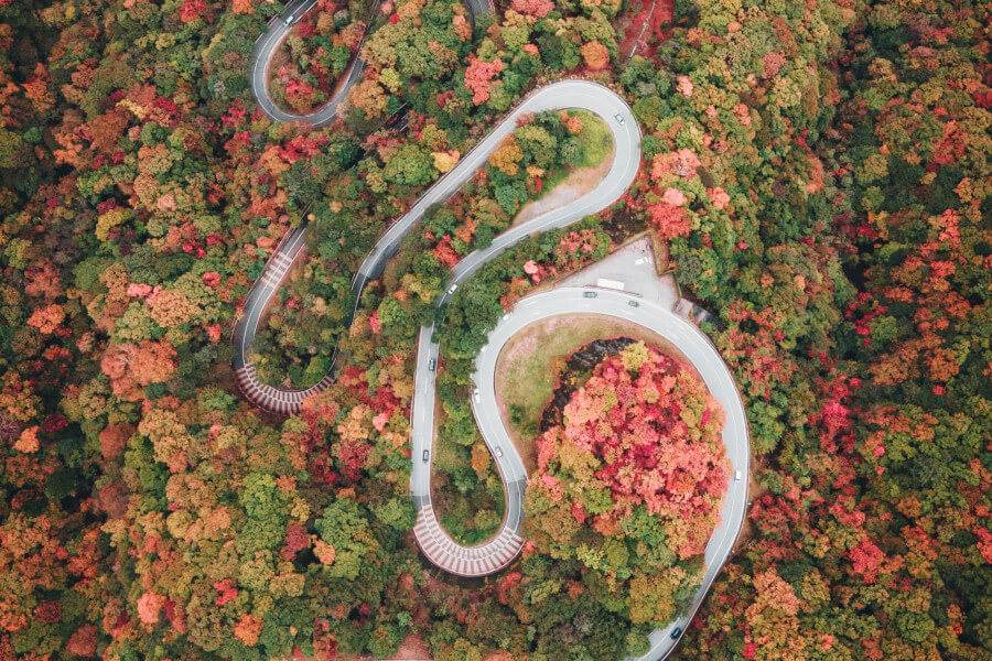 紅葉が見ごろな道路